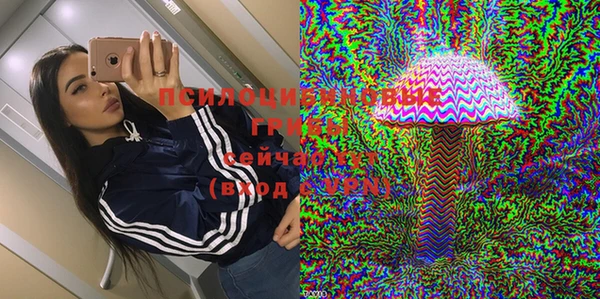 амф Липки