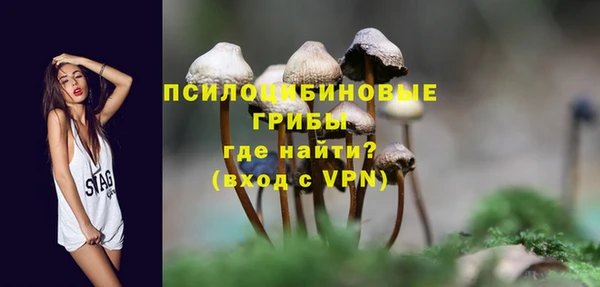 шишки Лихославль