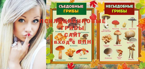 амф Липки