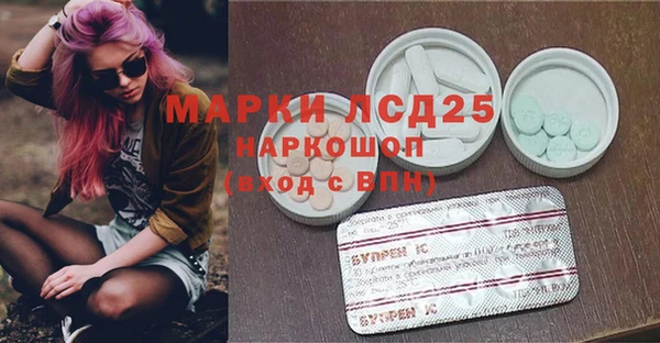 амф Липки