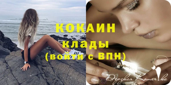 амф Липки