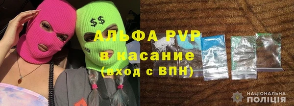 амф Липки