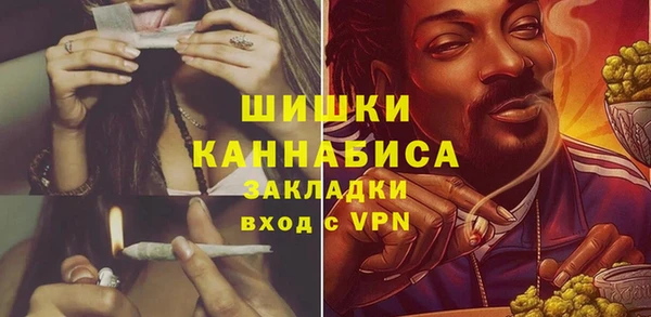 амф Липки