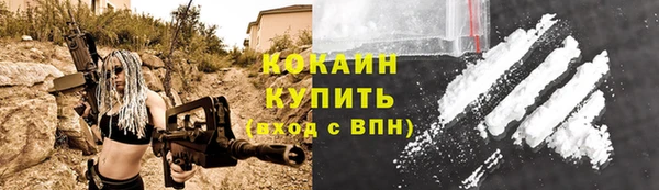 шишки Лихославль